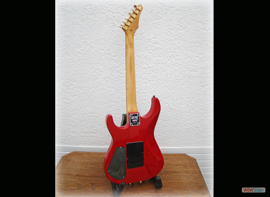 Guitar 1  Back